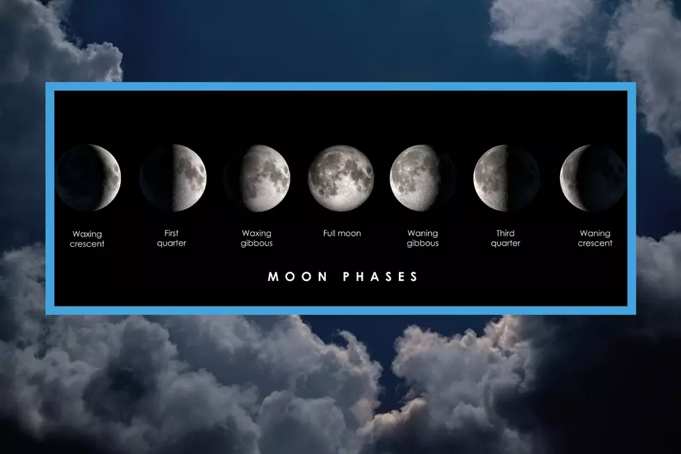 Moon Phases (Image: Canva)