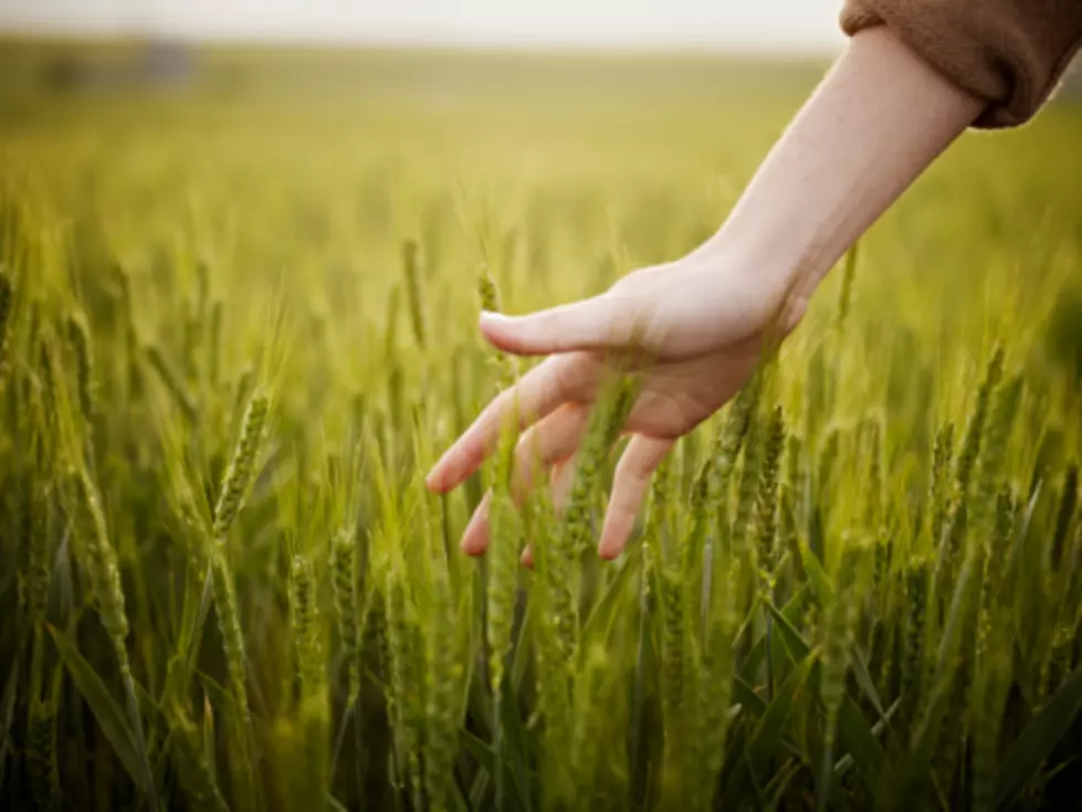 Feeding South Dakota: Donate Now [VIDEO]