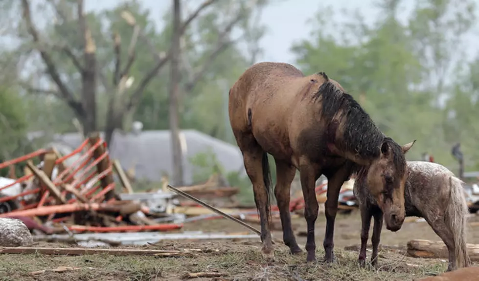 Oklahoma Tornado Hurts More than People