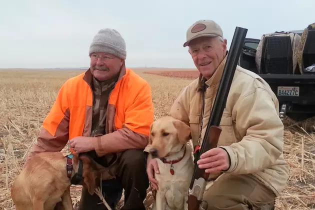 Hunters Are Still Bagging Lots of Birds in South Dakota