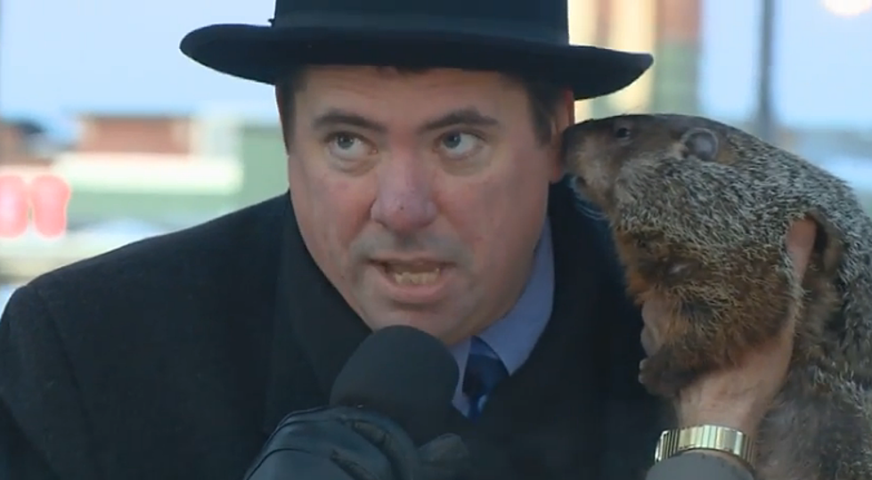 Groundhog Bites Wisconsin Mayor – Proving ‘Big Toothed Animal near Face’ Is Bad Idea