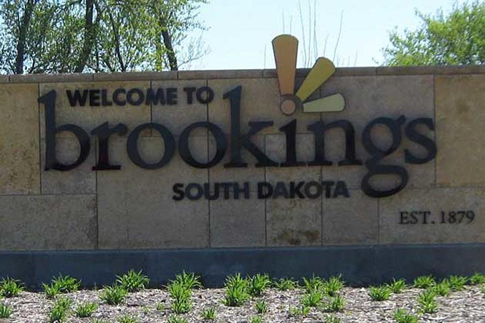 Brookings Summer Arts Festival Celebrates 44th Year
