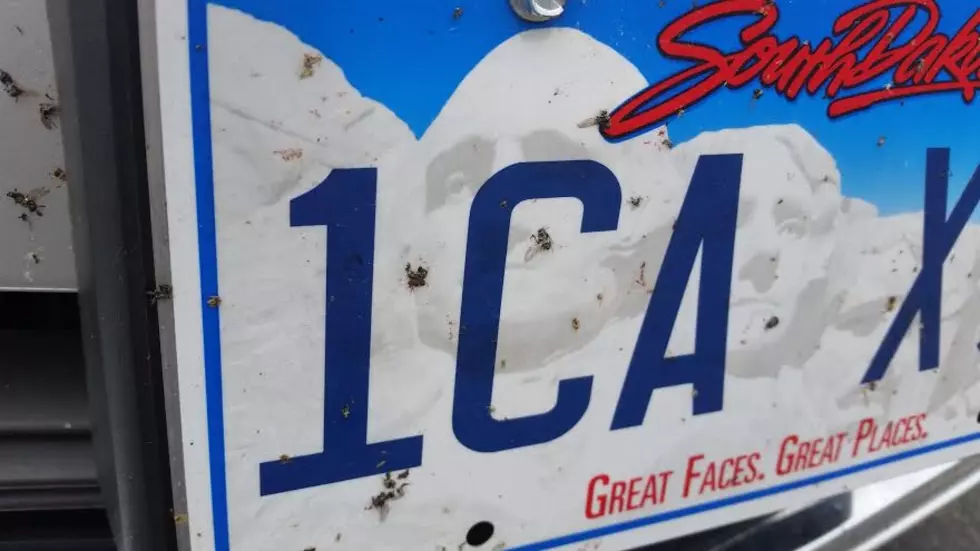 The Hidden Meaning of the First Numbers on a South Dakota License Plate