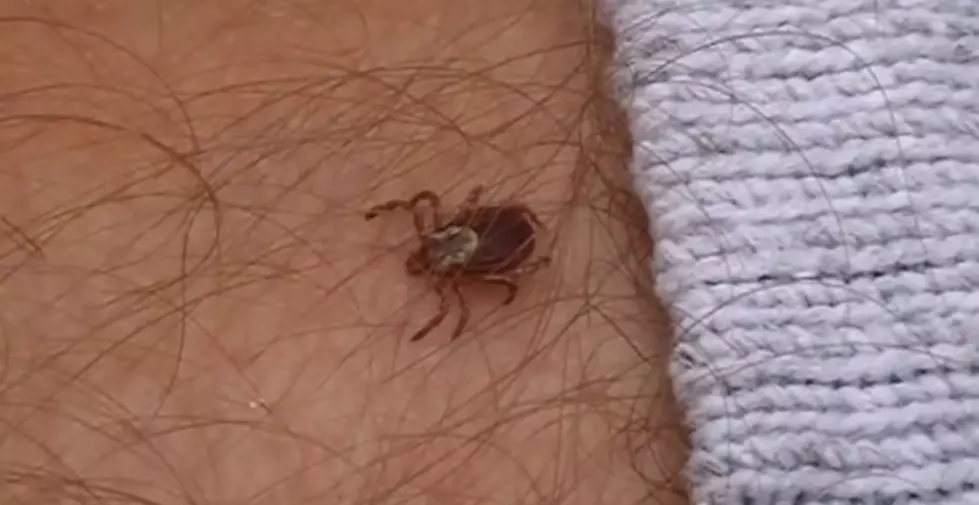 Ticked Off: There&#8217;s a New Potentially Deadly Tick-Borne Illness This Year