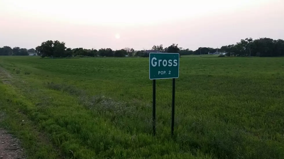 Have You Ever Been to Gross Nebraska?