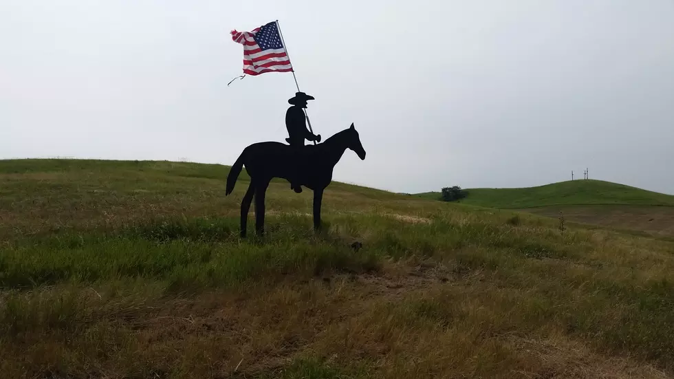 Rider with Flag Stands High on a Hill