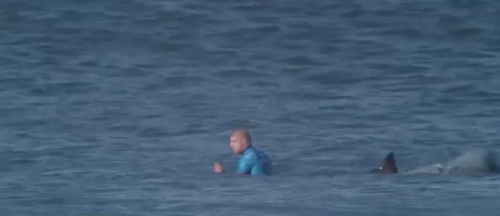 Play by play of a pro surfer taking on an amateur shark 