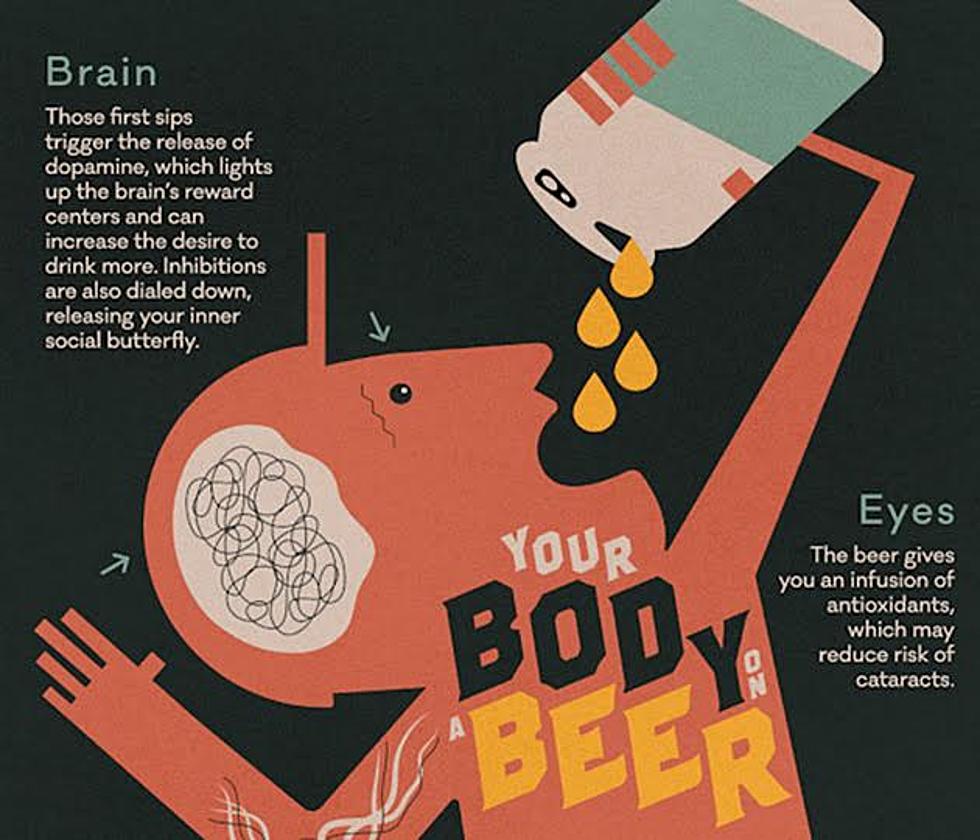 How One Beer Affects Your Body in One Hour