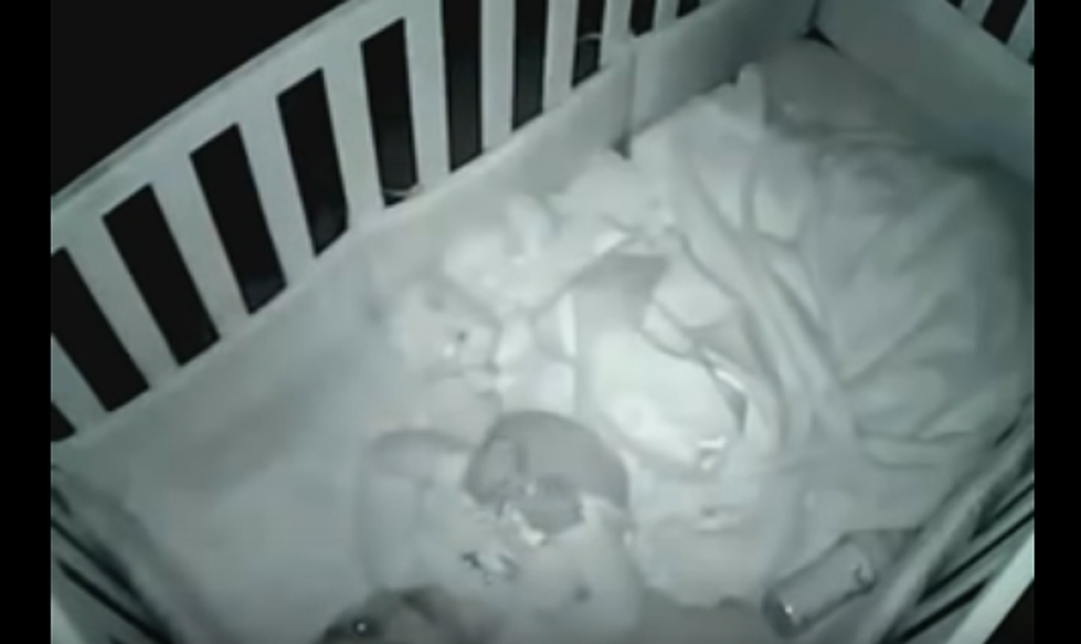 Parents Catch Toddler Saying Prayers on Baby Monitor