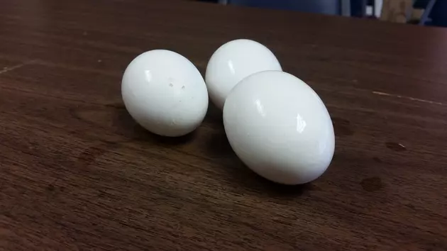 Hard Boiled Egg Questions Answered