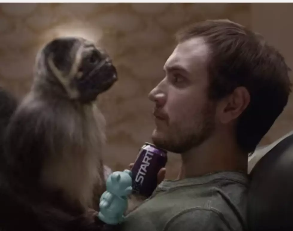 Puppymonkeybaby Anyone?