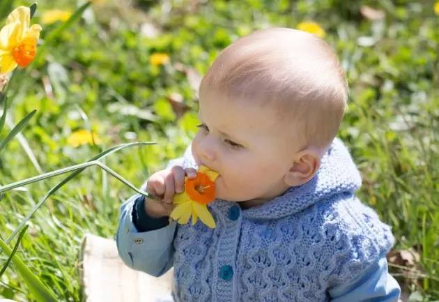 According to My Farmer&#8217;s Almanac Calendar, You Really Can Eat Some Flowers from Your Garden