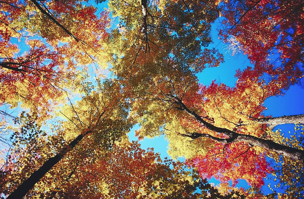 Why Fall Is The Best Season
