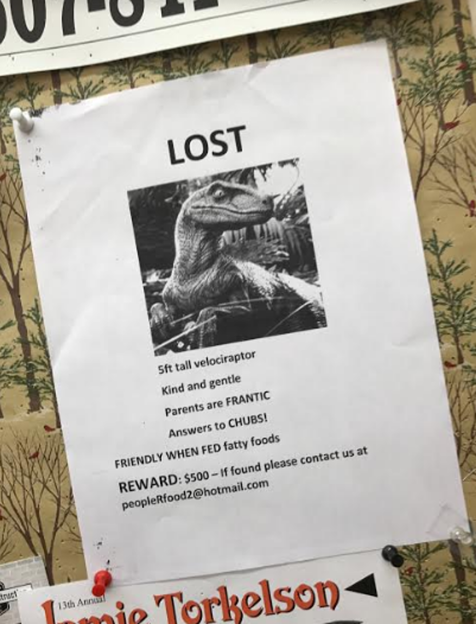 Lost Pet Gets Laugh