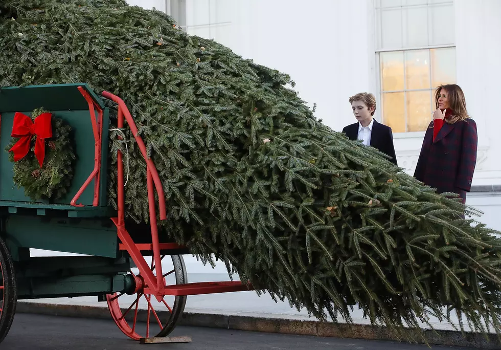 First Lady Out Shines Clark Griswold Watch White House Christmas Decorations Tour