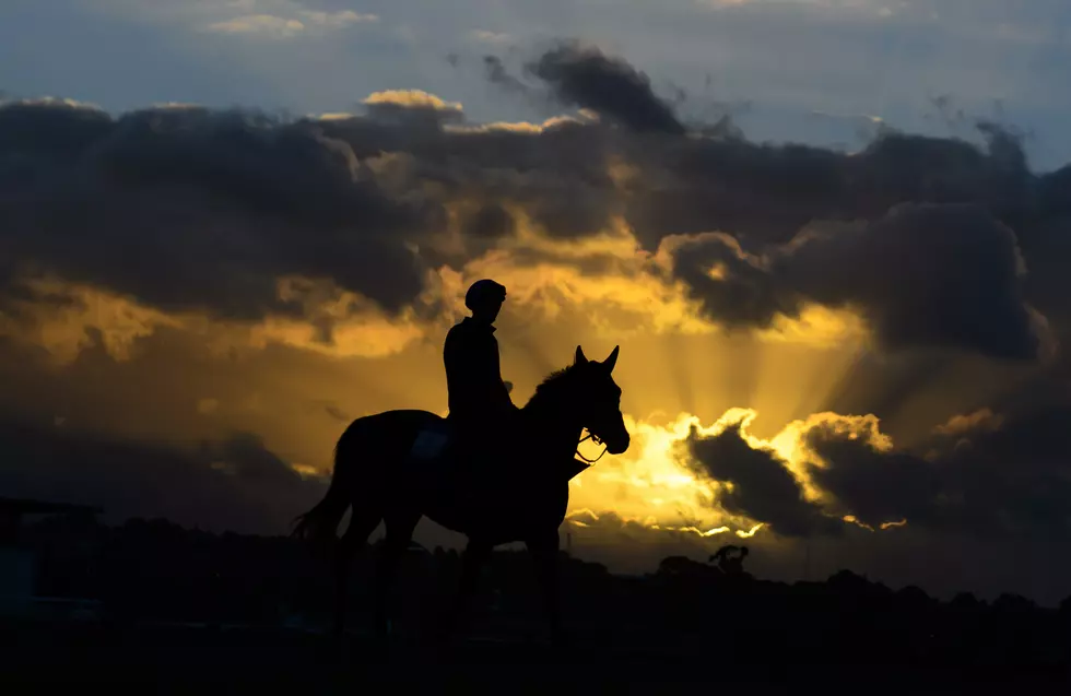 Tri-State Horse Expo Returns to Sioux Falls