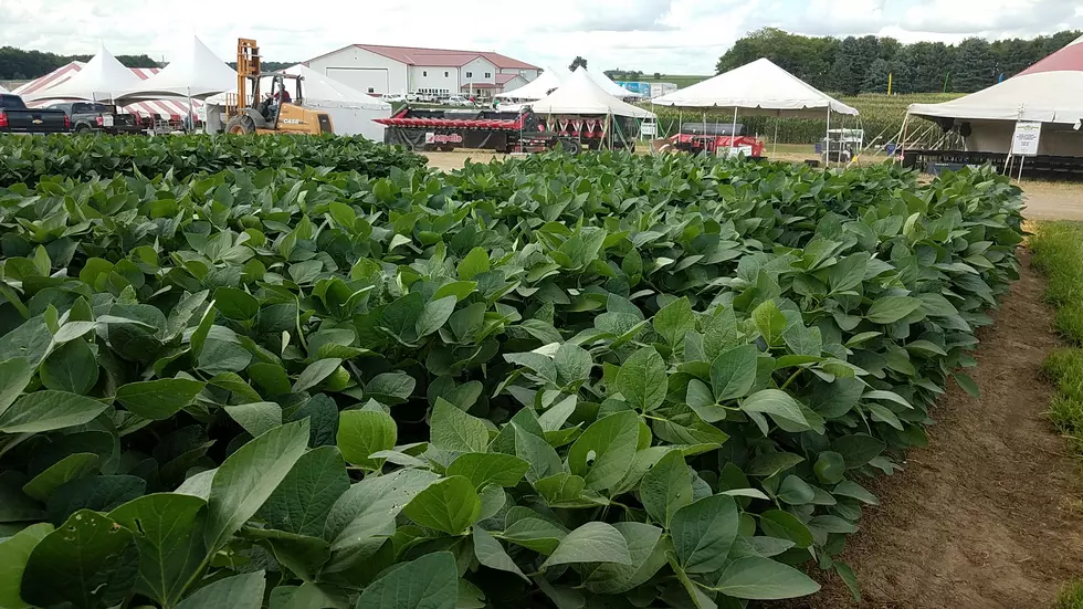 Ag PhD Field Day a Super Idea Share Farm Experience