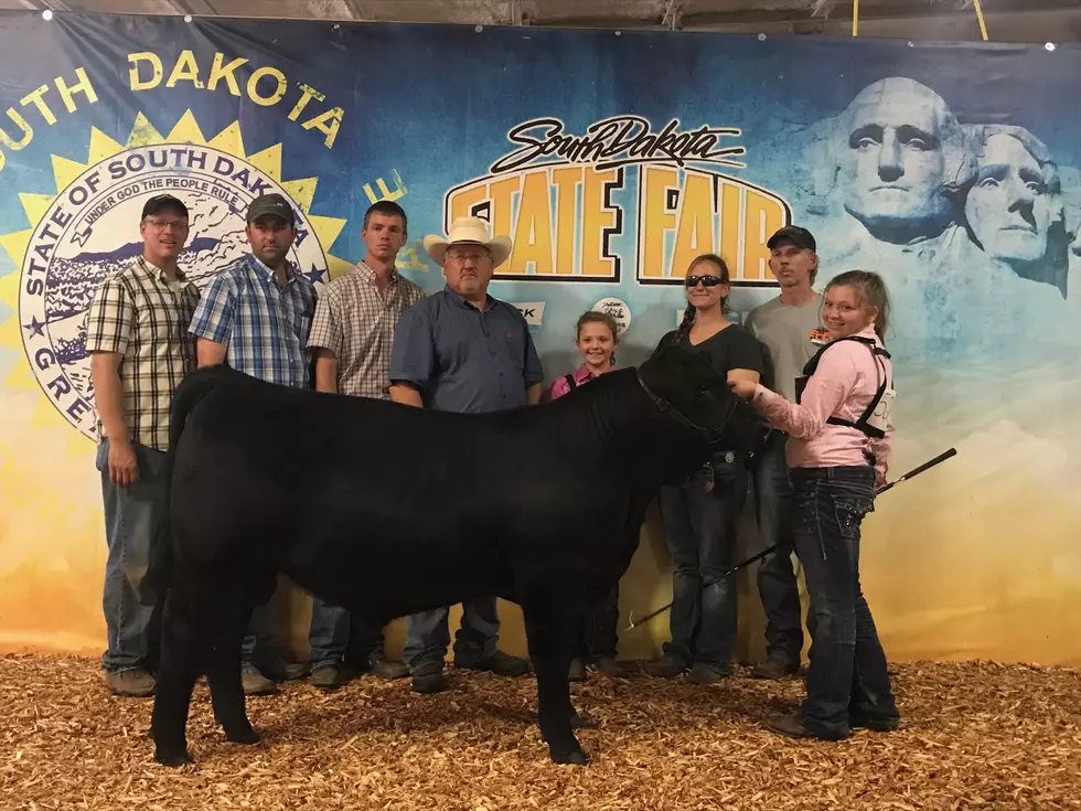 South Dakota Calf Named After Dierks Bentley Grows into Champion