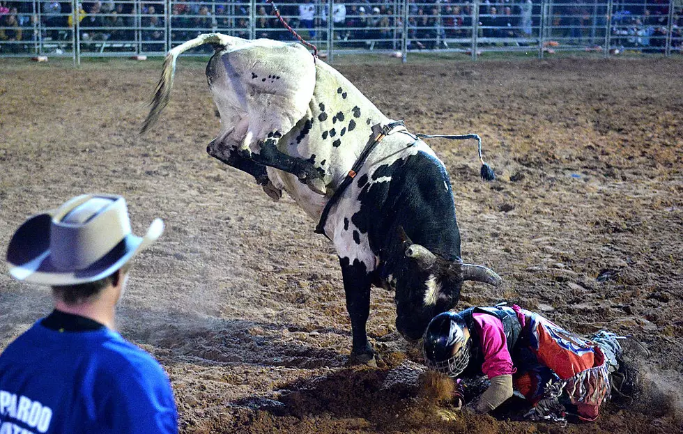 Bulls and Broncs Return to Sioux Falls
