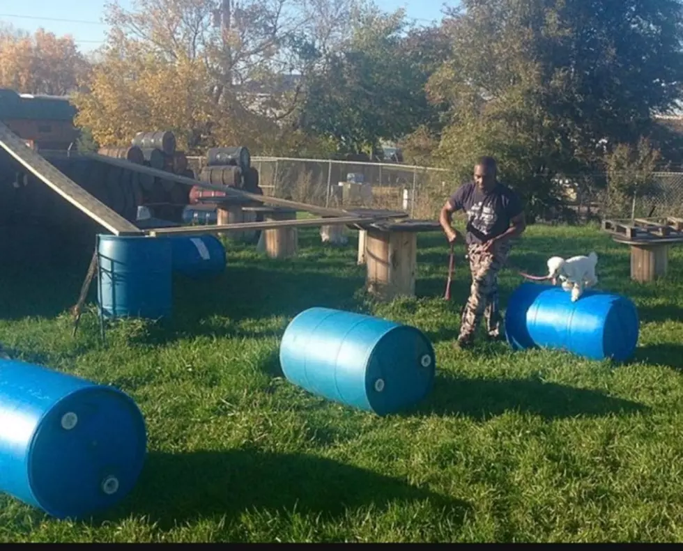 Sioux Falls Mans Amazing Ability to Train Dogs Started as A Kid