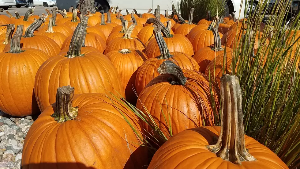 Our Sweet South Dakota Fall Weather is About to Change