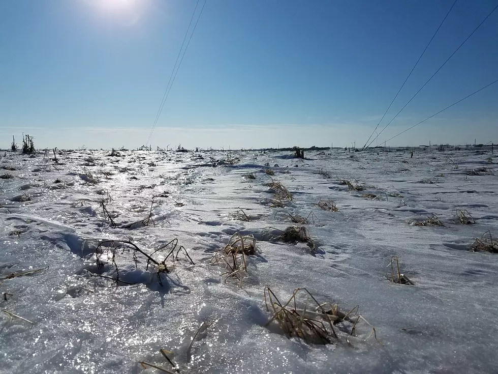 Record Setting Snow in South Dakota and Iowa