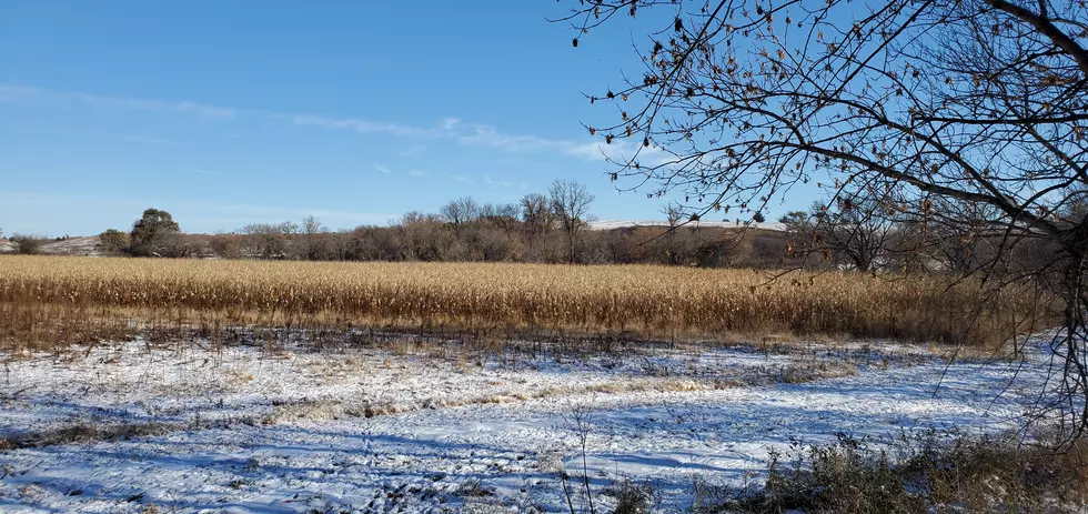 South Dakota 2020 Bow Hunting Season Starts Off Nice!