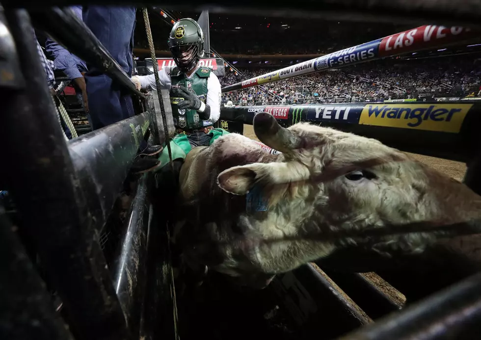 The PBR Bulls are Back in Sioux Falls [LISTEN]