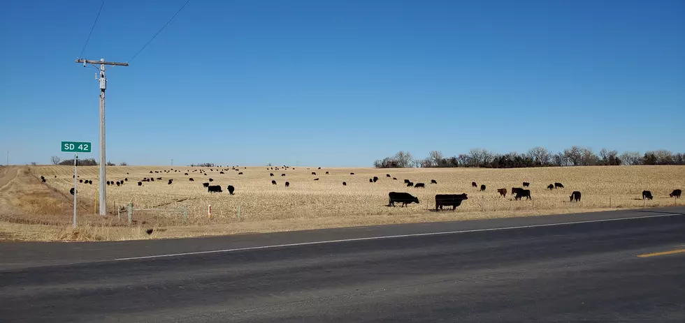 Yes, There are Advantages to No Snow In December