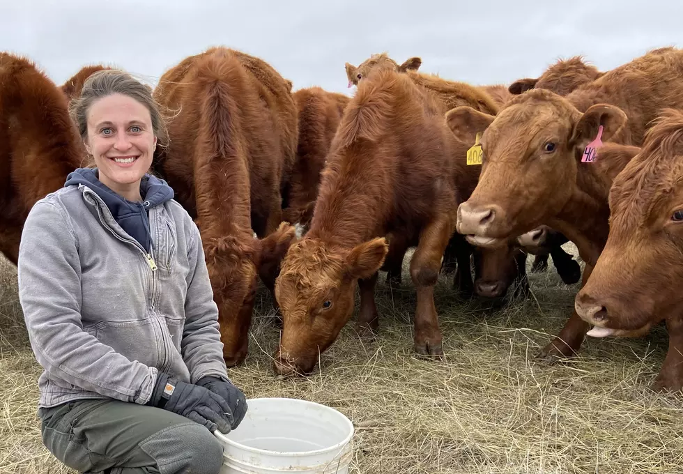 Life on a Cattle Ranch in Western South Dakota [PHOTOS]