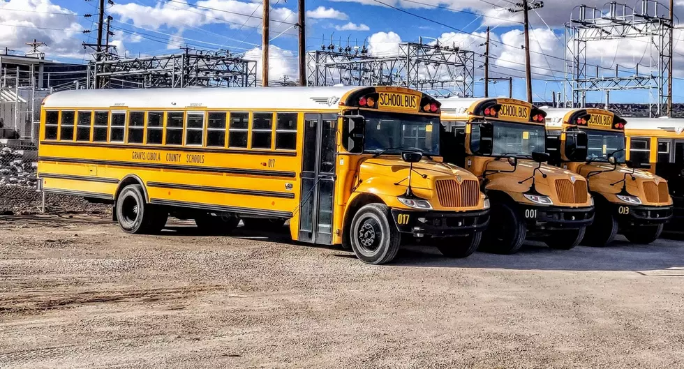 Why Do Minnesota School Buses Have Black Stripes?