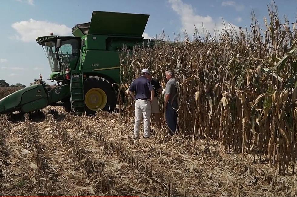 World Record for Corn, Bushels per Acre