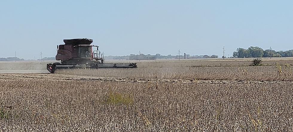 Harvest 2021 in &#8216;Early Full Swing&#8217;