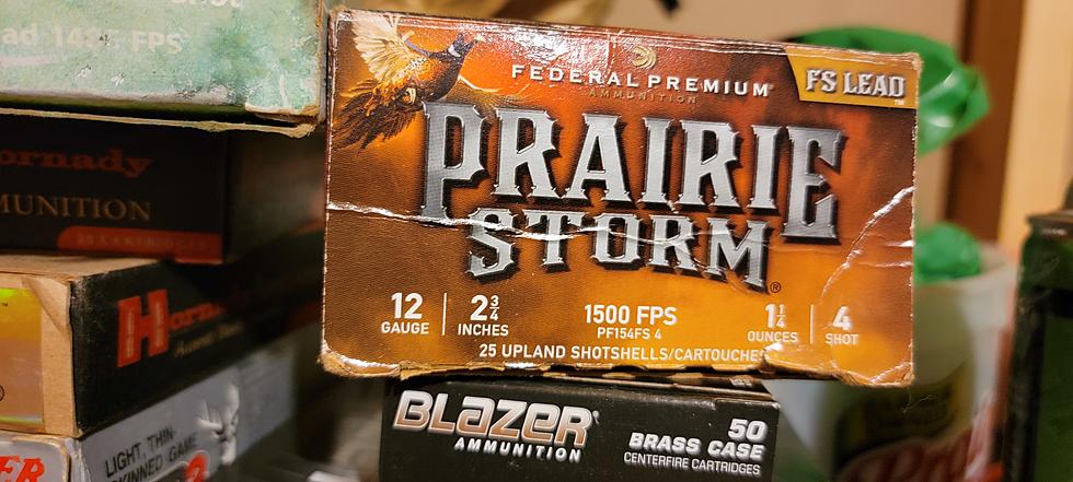 South Dakota Hunters Advised to Buy Ammo Ahead of Time