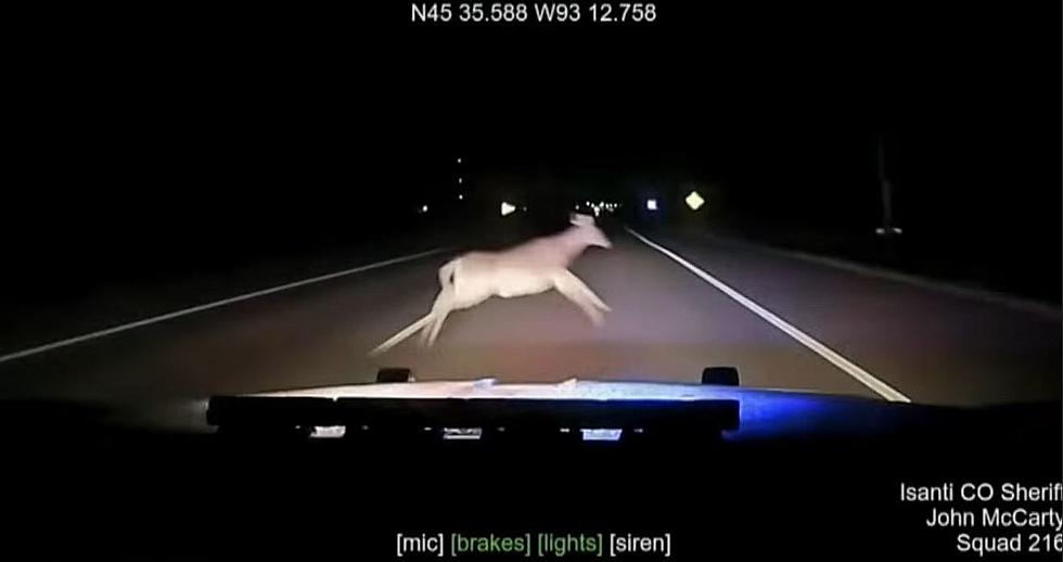 VIDEO: Minnesota Sheriff&#8217;s Car Hits Deer At 114 mph