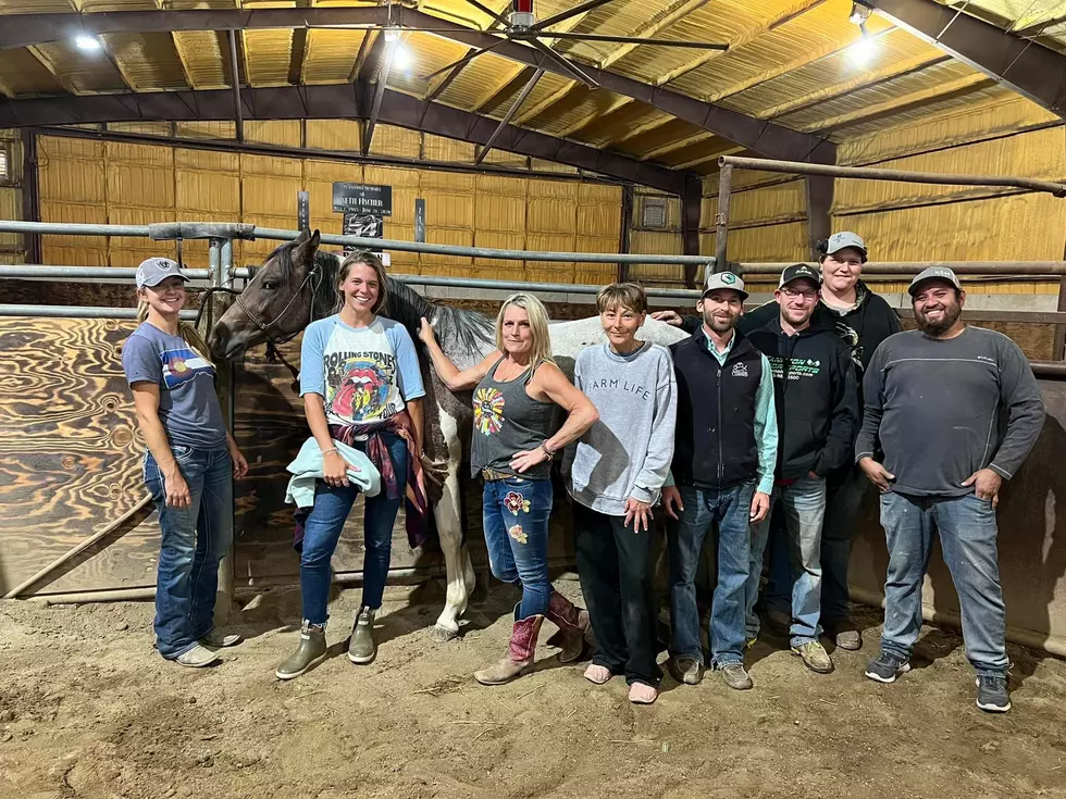 Thomas Rhett’s Wife, ‘Horse Shopping’ During South Dakota Trip