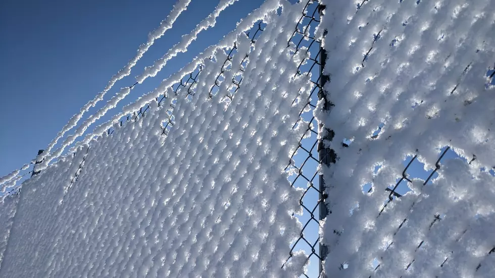 PICS: As Seen In Sioux Falls – Hoarfrost
