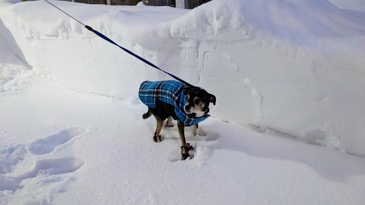 Ugh, South Dakota Winter 2025–26 Is Coming… And I’m Not Ready