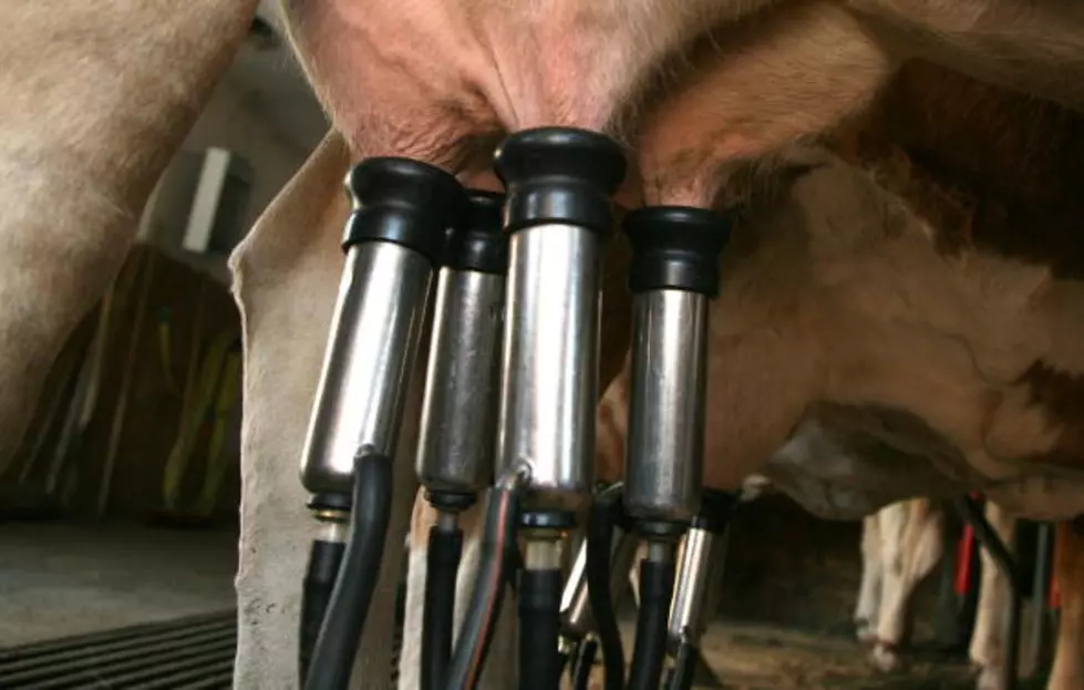 Raw Milk Testing Rules Being Clarified in South Dakota