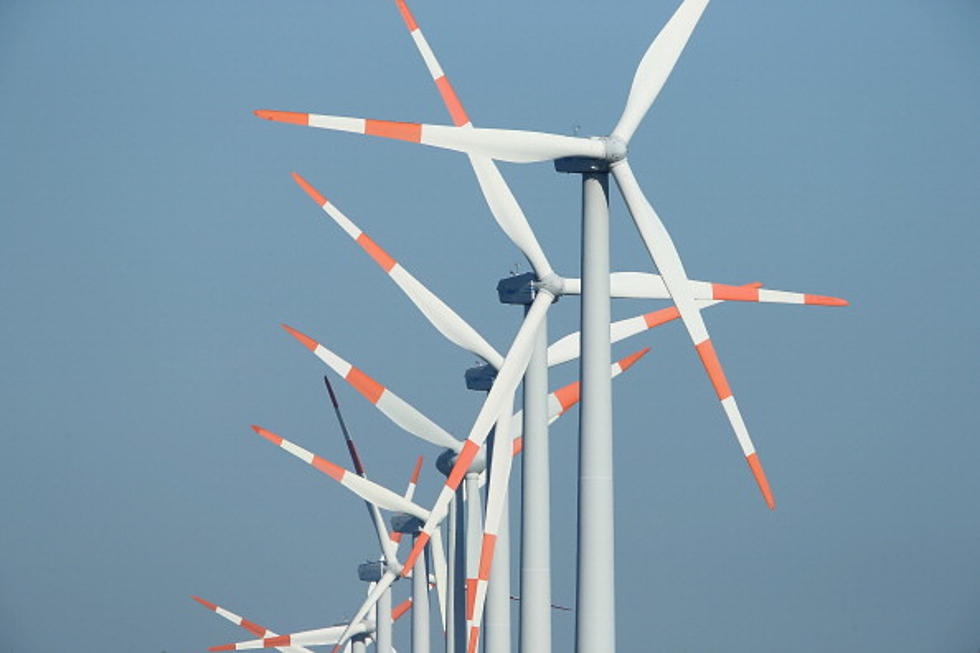 Do Wind Farm Developers Need Tax Rebates?