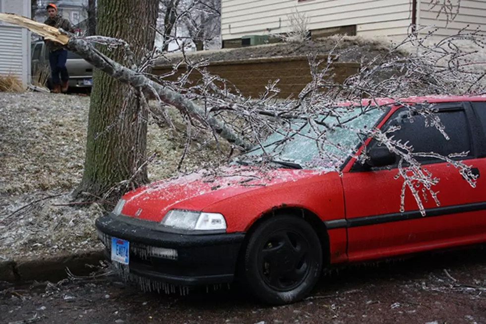 Organizations with Storm Damage Eligible for SBA Loans