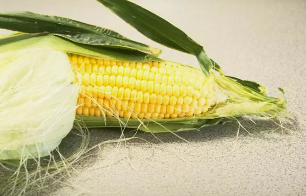 USDA: Corn Prices Up Slightly in South Dakota