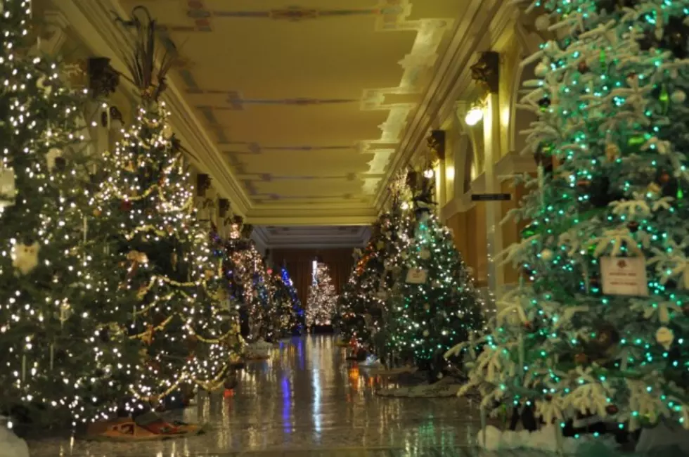 S.D. Capitol Building Christmas Tree Display Open To Public