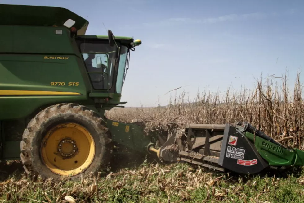 Boat Found in Corn Field