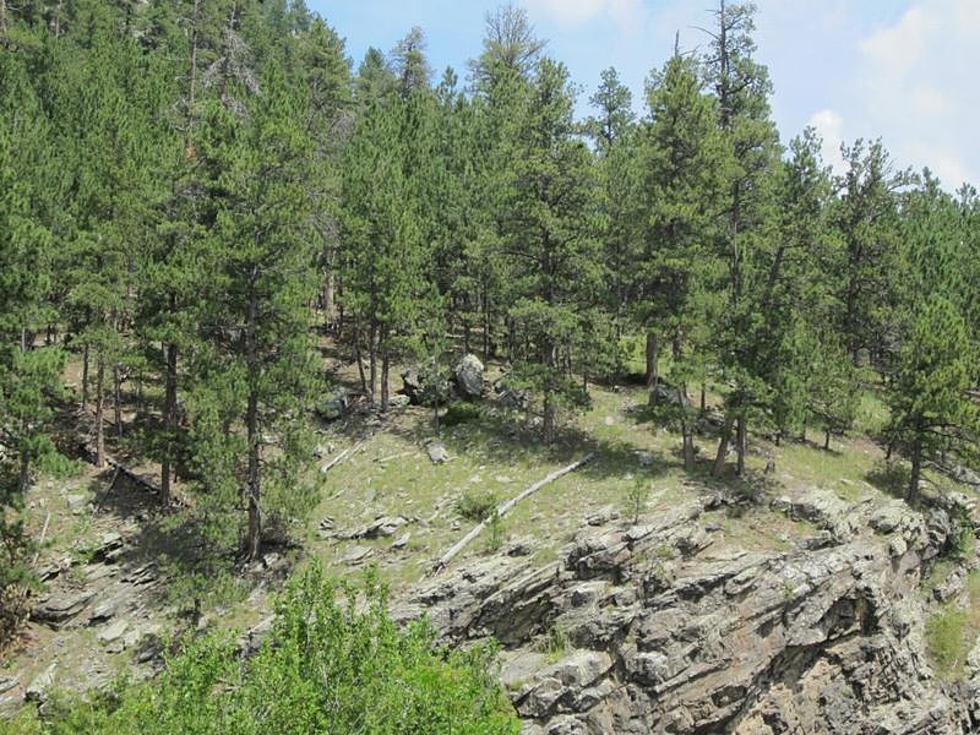 Slice of Black Hills National Forest Being Sold