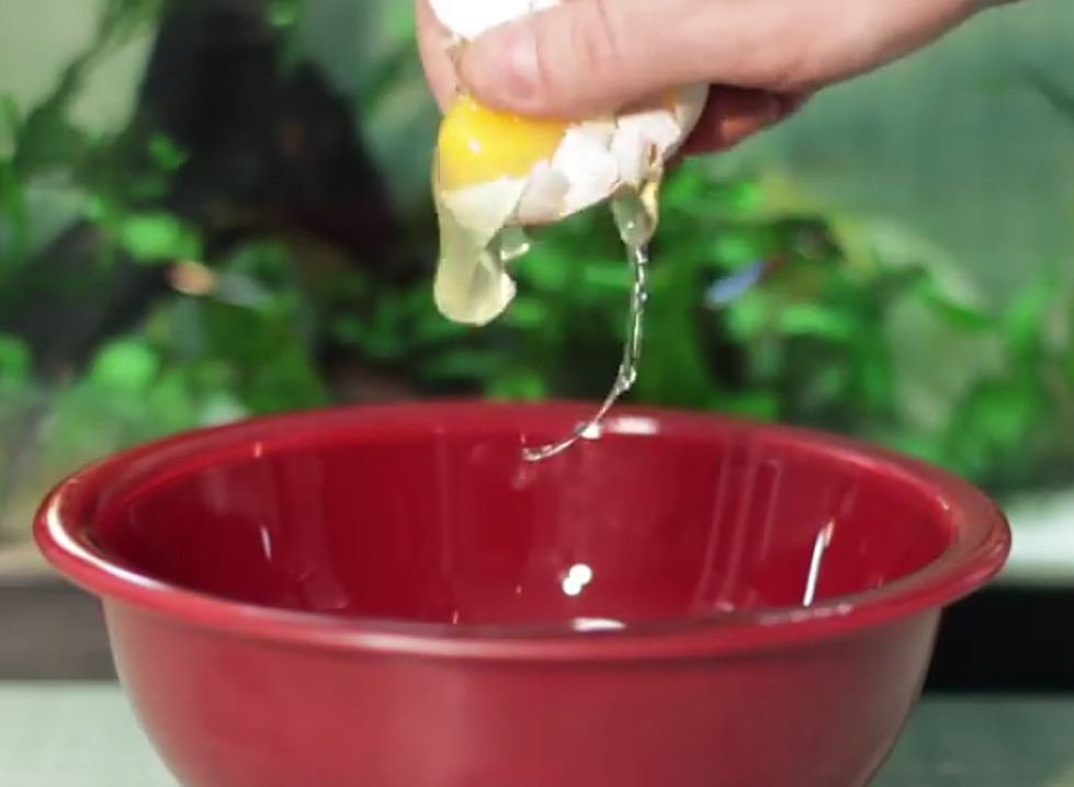 14 Ways to Make the Perfect Egg