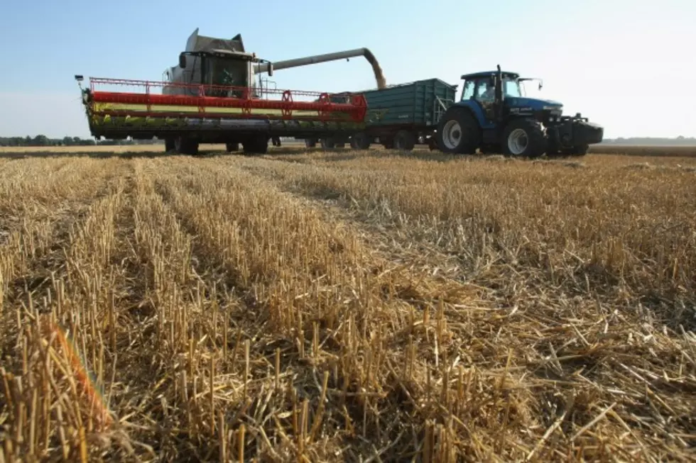 Winter Wheat Harvest in South Dakota Ahead of Average pace