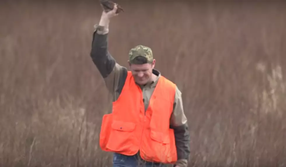 Wait – What? Man Catches Flying Bird with Bare Hand