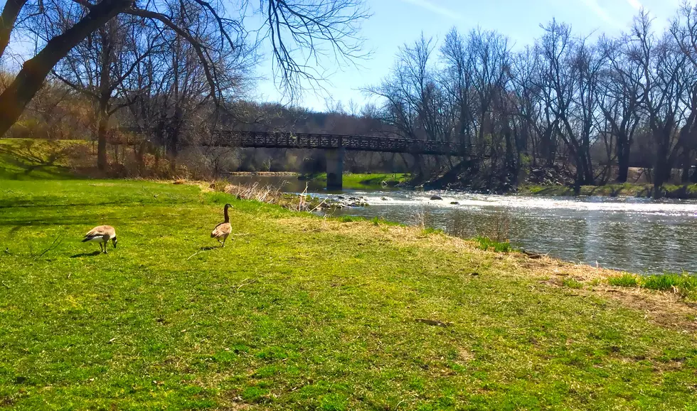 Time to Think About How We Landscape Sioux Falls [OPINION]