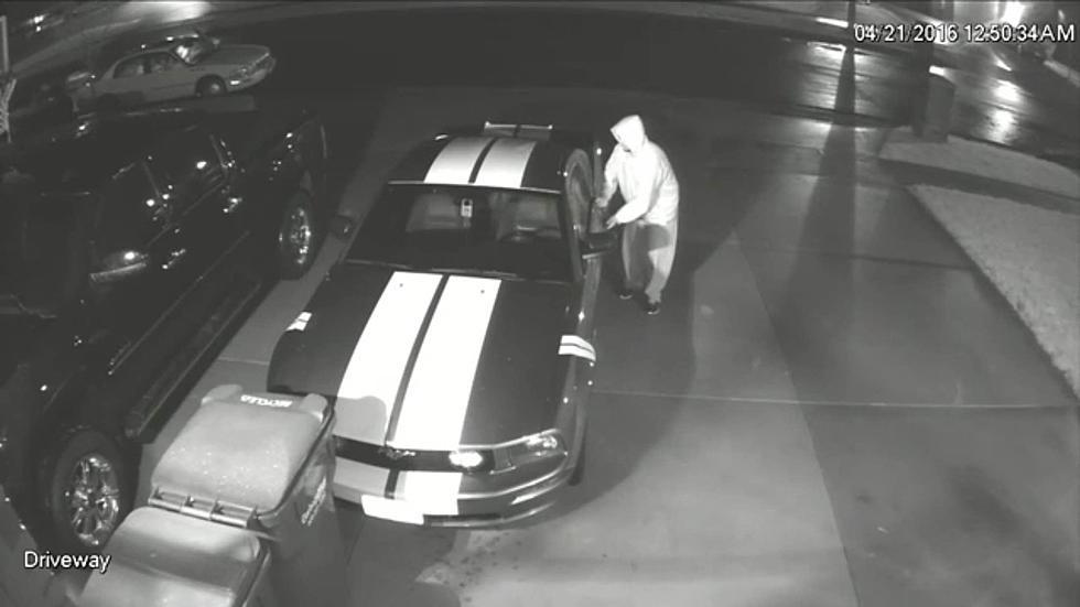 Sioux Falls Thieves Caught on Video